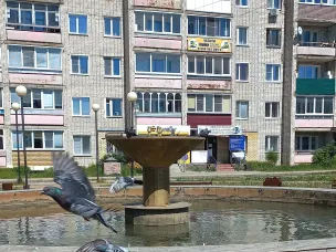 Просим не бросать в фонтан мусор!